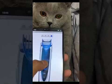 [Fun Video] When your cat took the prank seriously