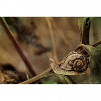 Snail Pendant Necklace