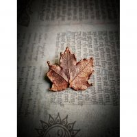 Pink Golden Maple Leaf Brooch