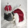 Pug (31 cm) Plush Toy