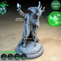 Dandalion - Human Druid Figure (Unpainted)