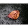 Gradient Wild Plum Leaf Pendant Necklace