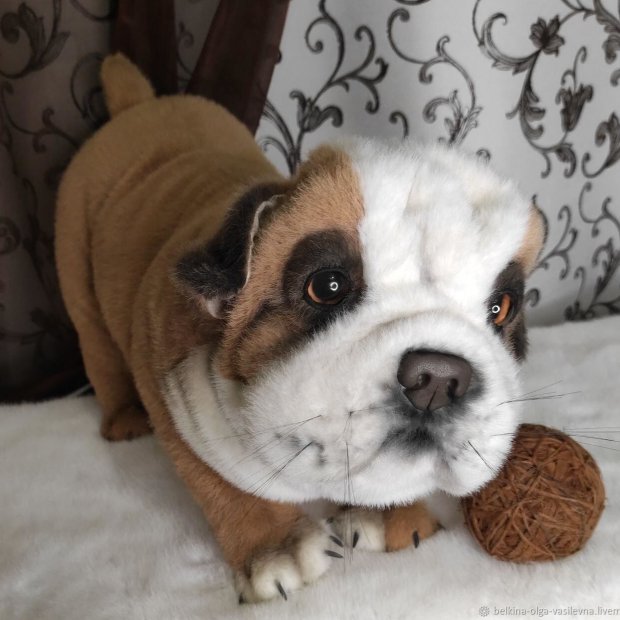 Bulldog (43 cm) Plush Toy