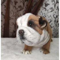 Bulldog (43 cm) Plush Toy