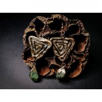 Spiral Earrings
