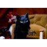 Black Cat With Collar Plush Toy