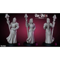 Battle Cleric with Staff Figure (Unpainted)