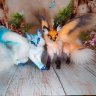 Fantasy Fox (Blue) Plush Toy