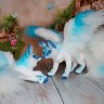 Fantasy Fox (Blue) Plush Toy