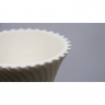 3D Printed Vase With Elegant Spiral Design