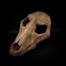 Werewolf Skull Mask