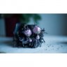 Arwen Earrings