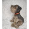 Schnauzer Puppy (31 cm) Plush Toy