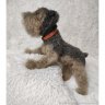 Schnauzer Puppy (31 cm) Plush Toy