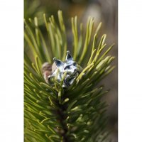 Handmade Lynx Head Ring