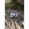 Handmade Lynx Head Ring