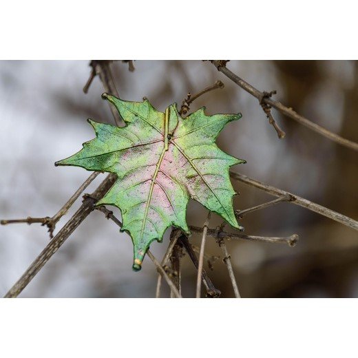 Bright Green Maple Leaf Brooch