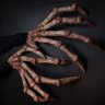 Spider Fingers Gloves