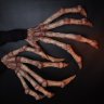 Spider Fingers Gloves