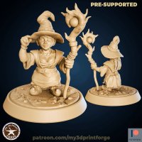Gnome Witch Figure (Unpainted)