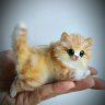 Kitten Plush Toy