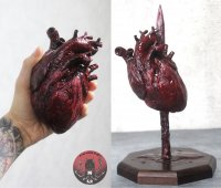 Realistic human heart Figure