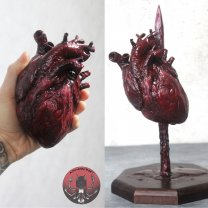 Realistic human heart Figure
