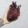 Realistic human heart Figure