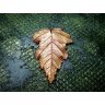 Golden Ginnala Leaf Pendant Necklace