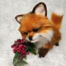 Little Fox Lilu (26 cm) Plush Toy