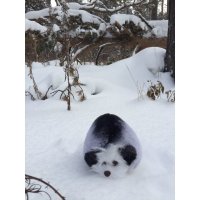 Hedgehog (18 cm) Plush Toy