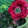 Rose of Abundance Figure