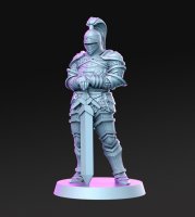 Calm knight Figure (Unpainted)