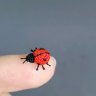 Sunflower In Pot And Ladybug Plush Toy