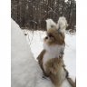 Jerboa (30 cm) Plush Toy