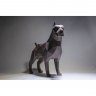 Pit Bull 3D Building Set