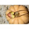 Linden Leaf Pendant Necklace