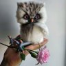 Owl (19 cm) Plush Toy