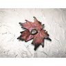 Scarlet Maple Leaf With Eye Pendant Necklace
