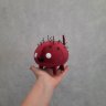 Chuchel - Kekel Plush Toy