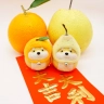 Shiba Inu (Pear Hat) Plush Toy 