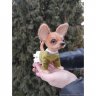 Chihuahua Puppy V.2 (16 cm) Plush Toy