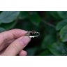 Drops Of Silver Ring