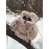 Big Eyed Owl (25 cm) Plush Toy