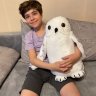Harry Potter - Hedwig Plush Toy (50 cm)