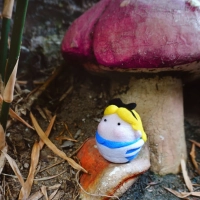 Alice in Wonderland Plush Toy
