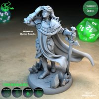 Sebastian Human Paladin Figure (Unpainted)