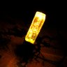 Swamp Life Lamp