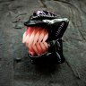 Alien - Xenomorph Lighter case