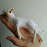 Unicorn (10 cm) Plush Toy